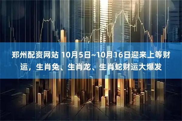 郑州配资网站 10月5日~10月16日迎来上等财运，生肖兔、生肖龙、生肖蛇财运大爆发